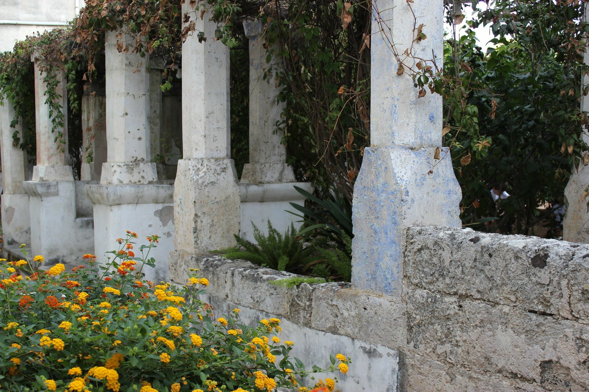 Masseria Pagani Nardò Dış mekan fotoğraf