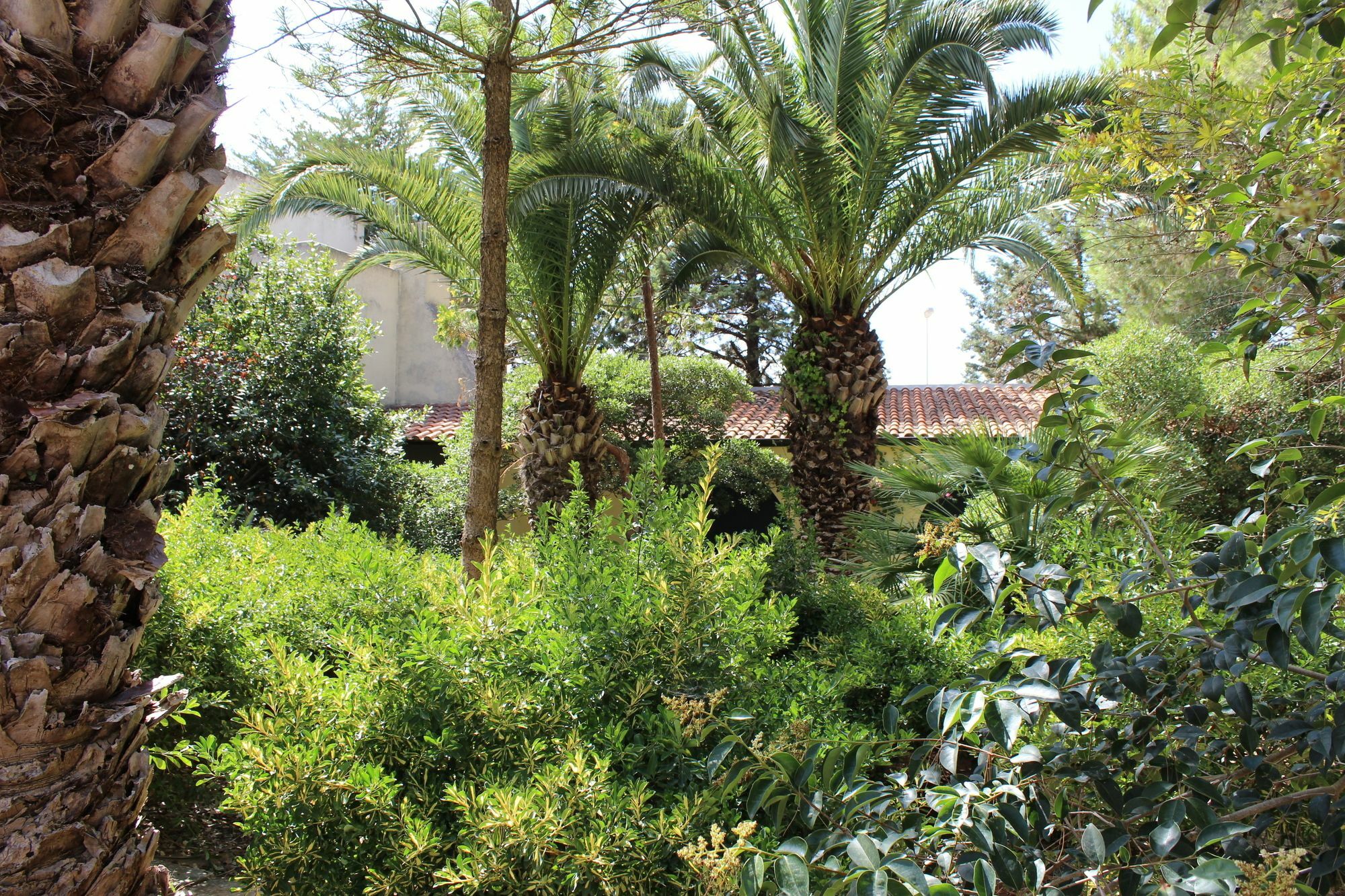 Masseria Pagani Nardò Dış mekan fotoğraf